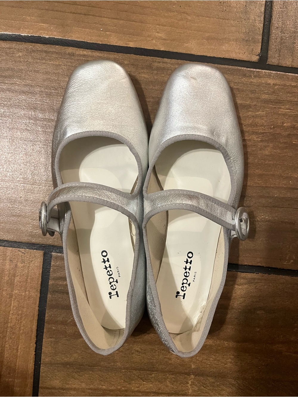 Repetto Metallic Silver Mary Jane Flats with Buckle